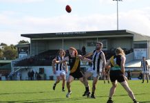 Pavilion honour for Tiger legend