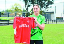 Faltum appointed captain of Stars