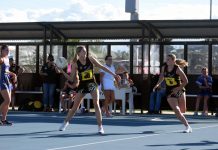 Marriott takes top award