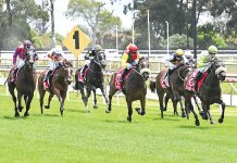 Local success a highlight