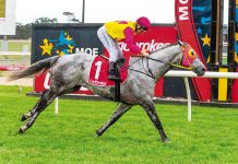 Local winners at recent Moe meet