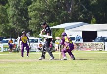 Magpies are in full flight