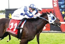 Moe again answers Sale’s call