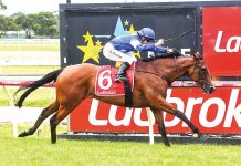 Moe answers call from Sale