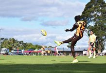 Hawks in town for pre-season camp