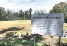 Cricket lives on in Walhalla