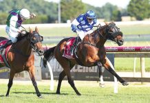 Locals back racing at Sale Turf Club