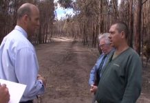 Black Saturday arsonist to be eligible for parole