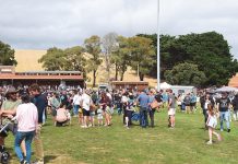 Potato festival attracts thousands