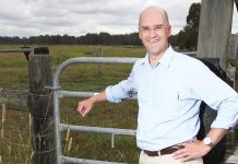 Shorter duck hunting season scrutinised