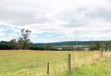 Delburn Wind Farm to go ahead