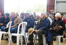 Tough day at bull auction