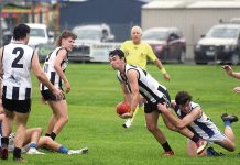 Churchill pair kick 12 each