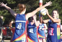 Wildcats lose, Cougars pounce