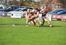 Lions take down Goliath