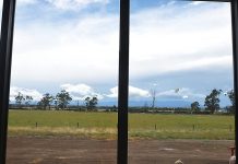 Ships busy preparing for cricket future