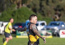 Swan stops in at Gormandale