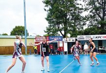 Gulls just get over the Traralgon line