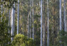 State government sitting on a gold mine