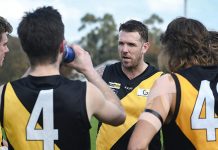 Swanny suits up for Tigers