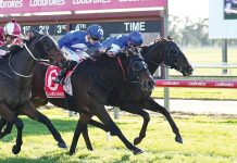 Local winners at Moe