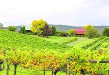 New era begins at Carrajung Estate