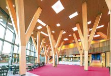 Traralgon consultancy finds state forestry mismanagement