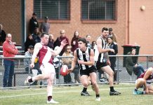 Eddy everywhere with 11 goals