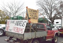 Timber trauma displayed