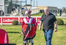 Fitting tribute to late Peter Mertens