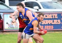 Cougars come back from the dead