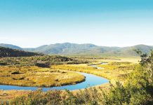 Parks Victoria booking mayhem