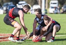 Reigning premier suffers first loss in over a year