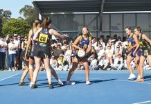 Young and bold, Lions take crown