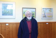 Trees and colours an inspiration to create