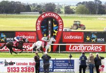 All set for another great Moe Cup