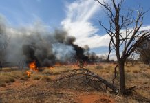 Review finds Indigenous groups want more involvement