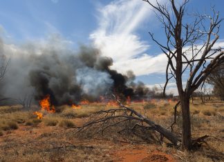 Total Fire Ban declared for all of Victoria