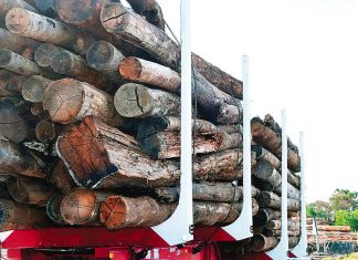 Devil in the detail of timber report