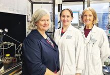 Forging connections from Churchill to Kyiv