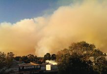 Resilience of regional children