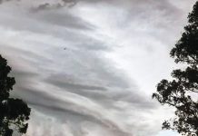 Record winds in recent super storm