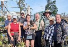 The storm like a “giant whipper snipper”