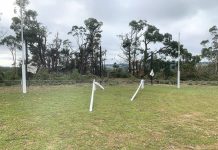 Sporting clubs second best to storm