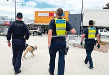 Out of control crime