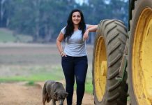 Farmers attack new energy fast-track