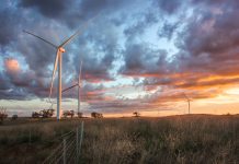 Experts query wind plans costs and timing