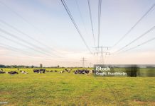 Vic and Tas Farmers unite on land