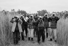 Artwork exhibition hits Latrobe Valley