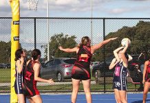 Lions proudly parade dominance